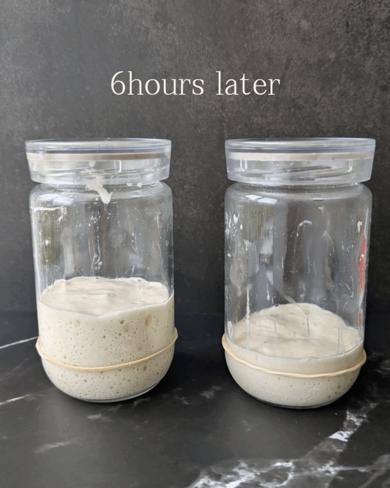 サワードウスターターフィーディング比率の比較観察